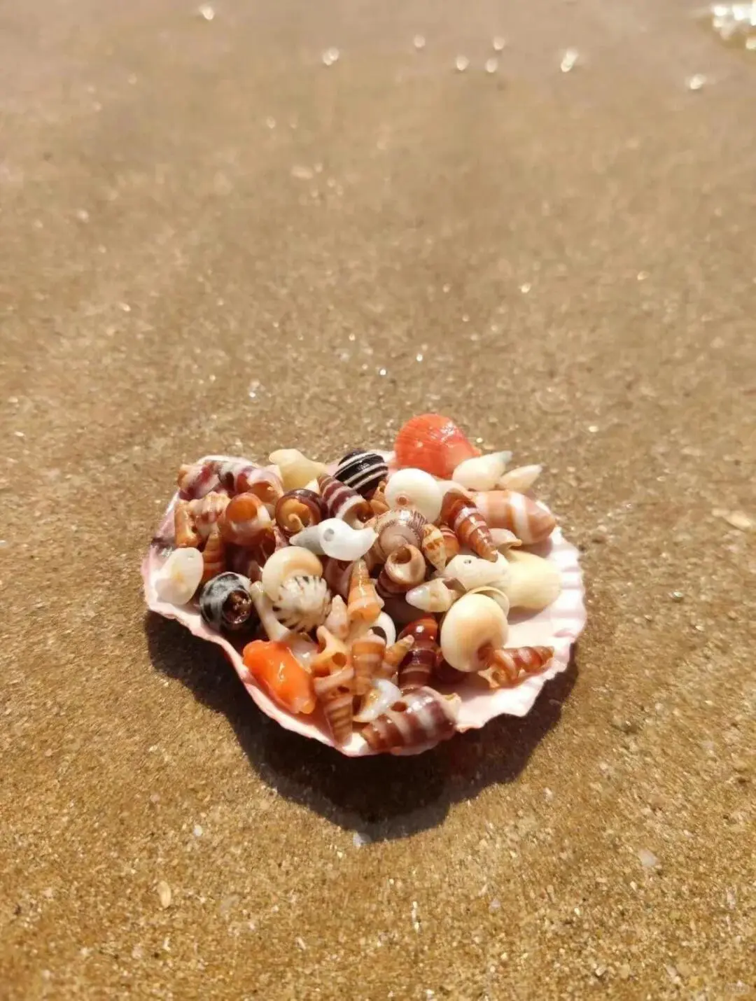 青岛避雷现状，11、12月要去旅游尽早改行…