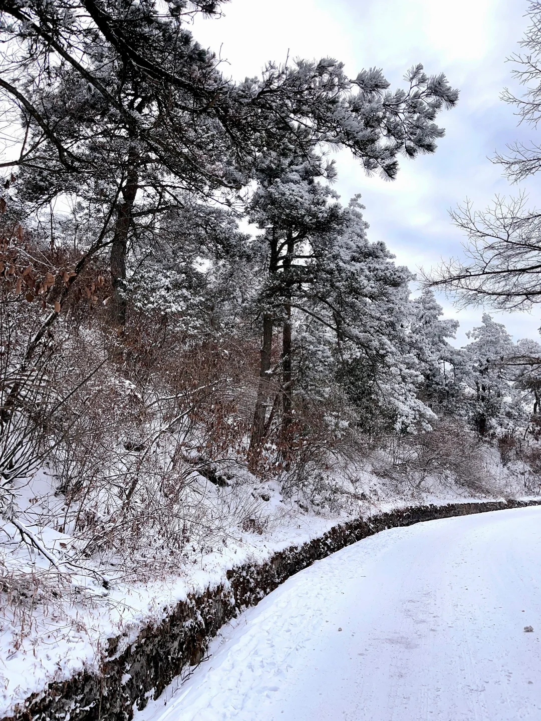 🚄深圳-庐山看雪❄️这个冬天一定要去看场雪