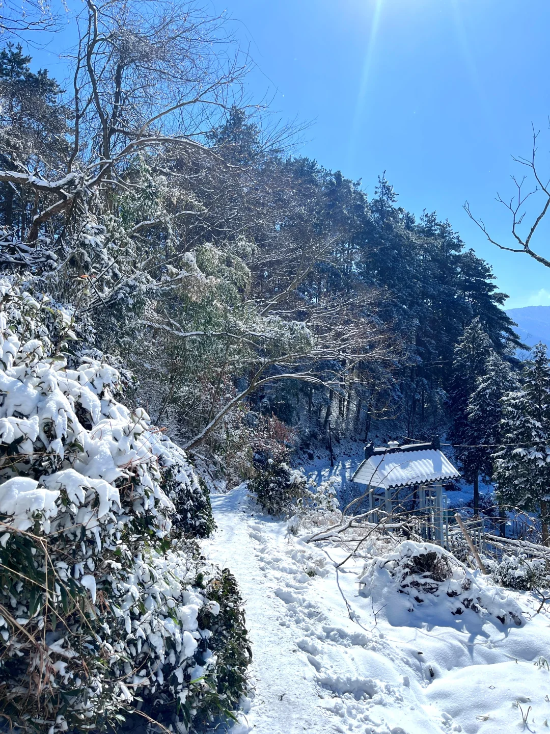 🚄深圳-庐山看雪❄️这个冬天一定要去看场雪
