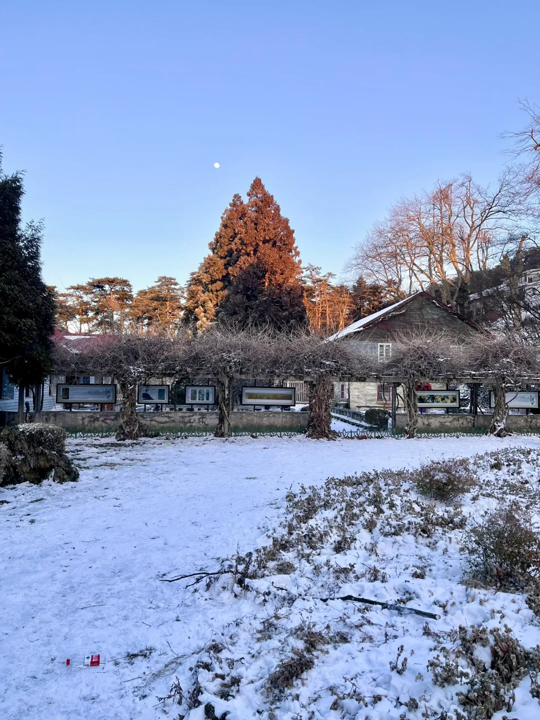 🚄深圳-庐山看雪❄️这个冬天一定要去看场雪