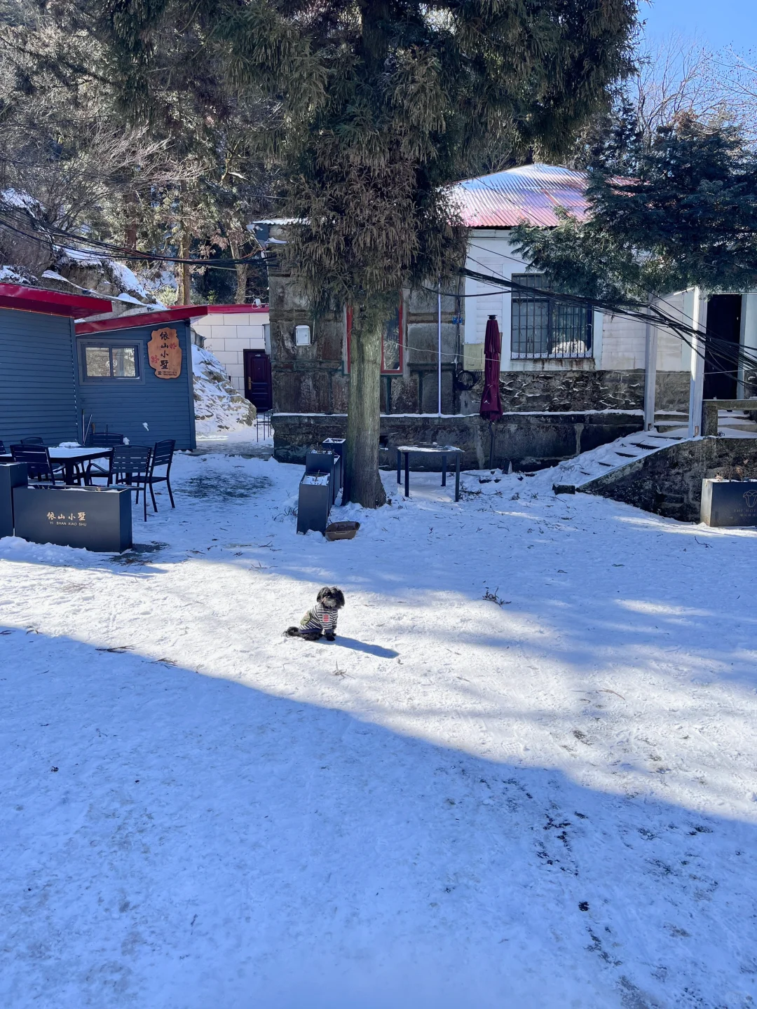 🚄深圳-庐山看雪❄️这个冬天一定要去看场雪