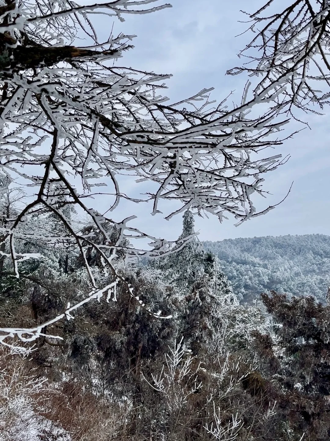 🚄深圳-庐山看雪❄️这个冬天一定要去看场雪
