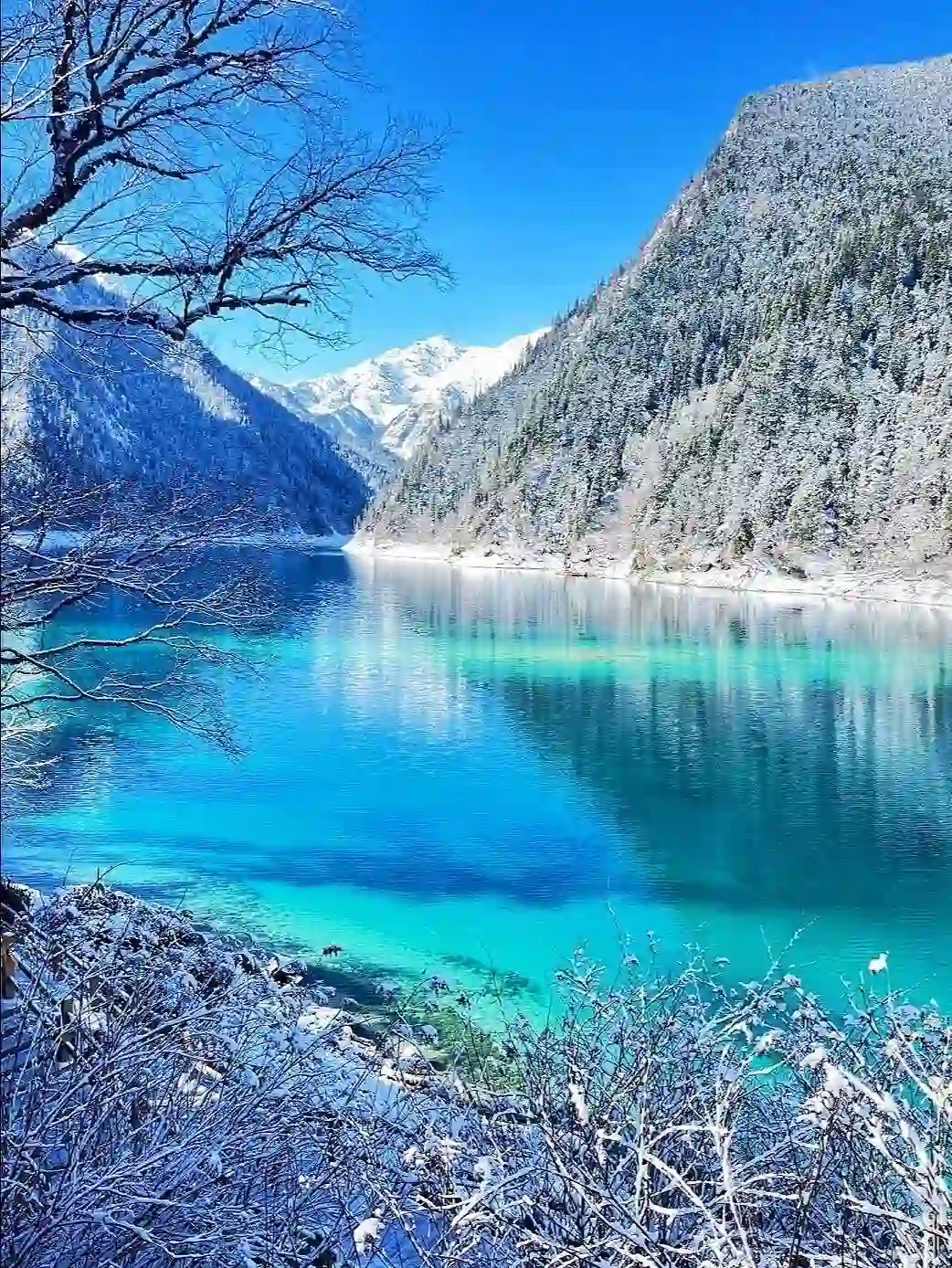 11.25📍九寨沟豪赌成功!简直不要太美了