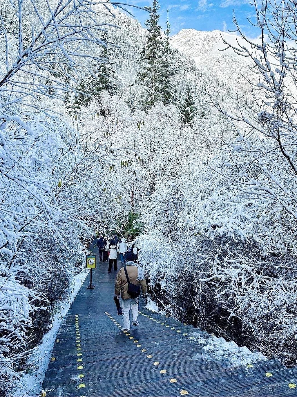 11.25📍九寨沟豪赌成功!简直不要太美了