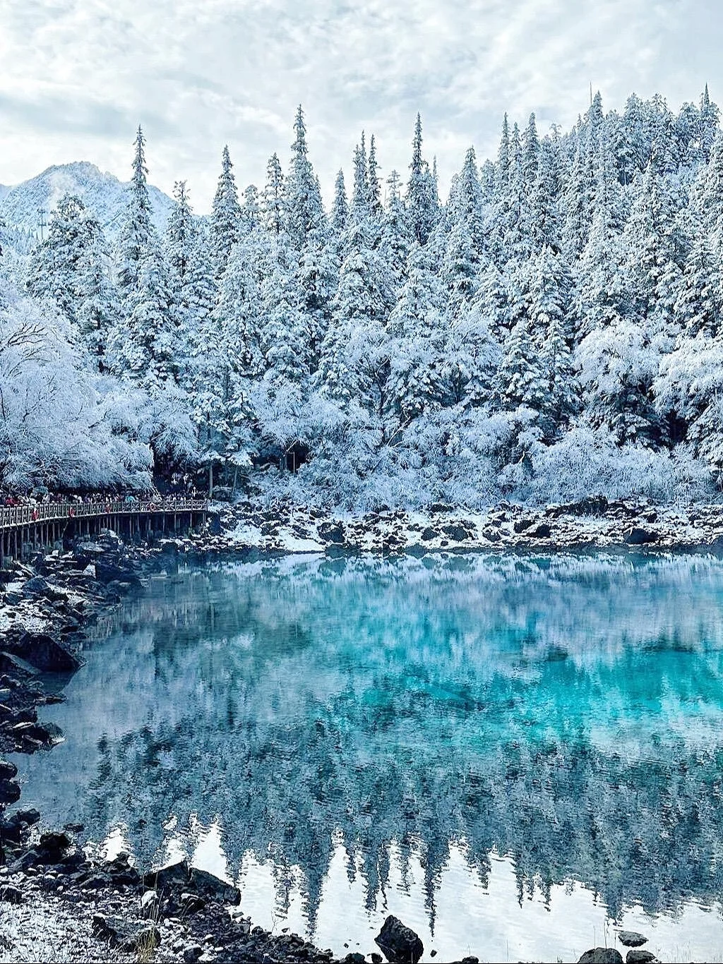 11.25📍九寨沟豪赌成功!简直不要太美了