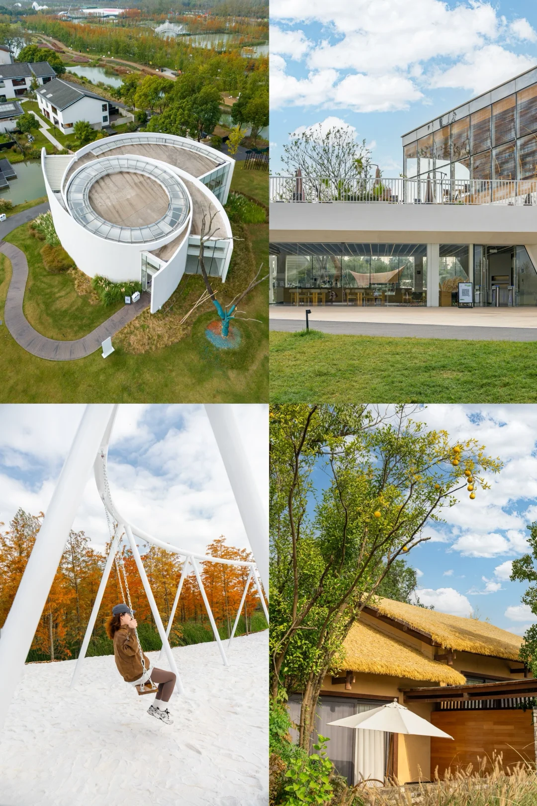 为了这18张照片,我专门去了趟合肥‼️