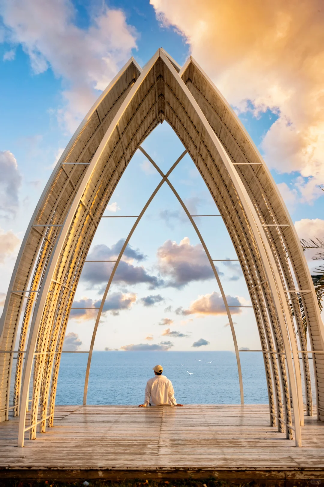 为了这18张照片,我专门去了趟合肥‼️