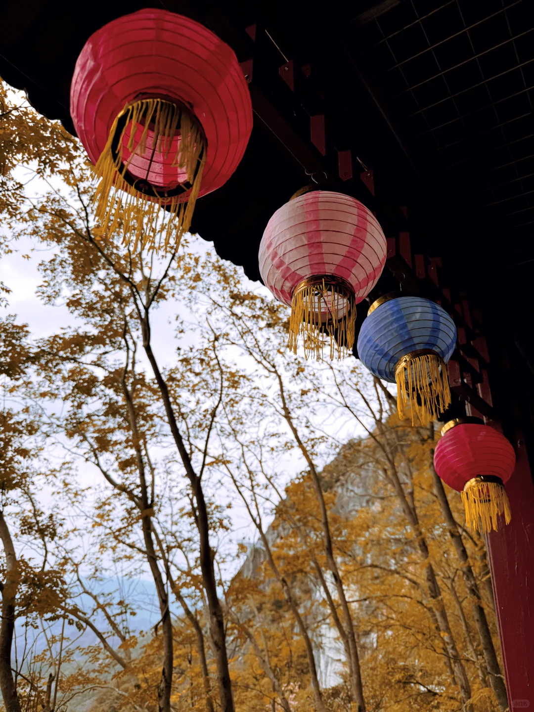 📖大慈岩秋日攻略 | 银杏与悬空寺的浪漫邂