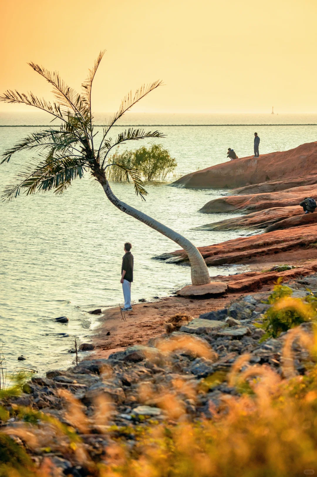 为了这18张照片,我专门去了趟合肥‼️