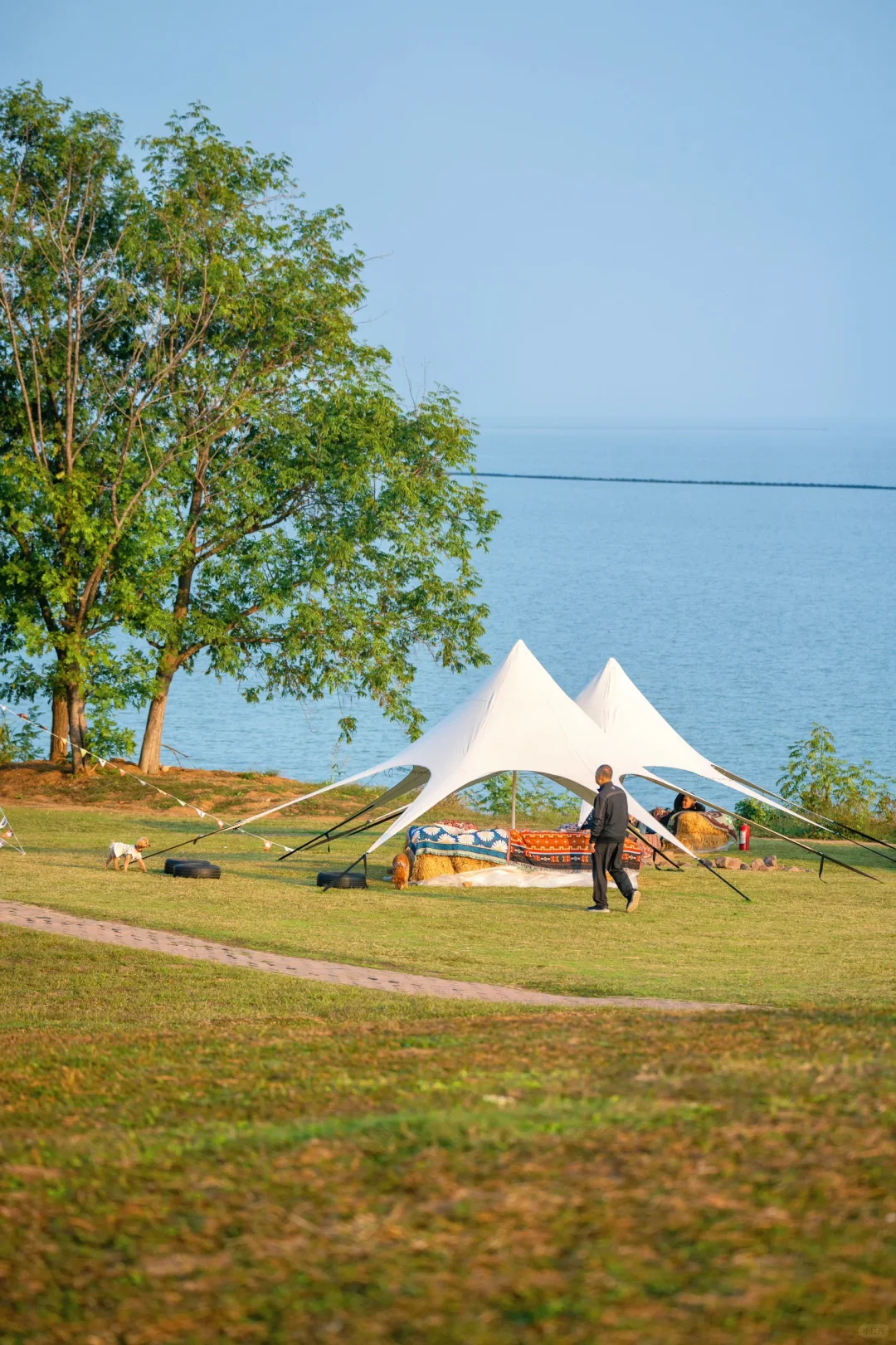 为了这18张照片,我专门去了趟合肥‼️