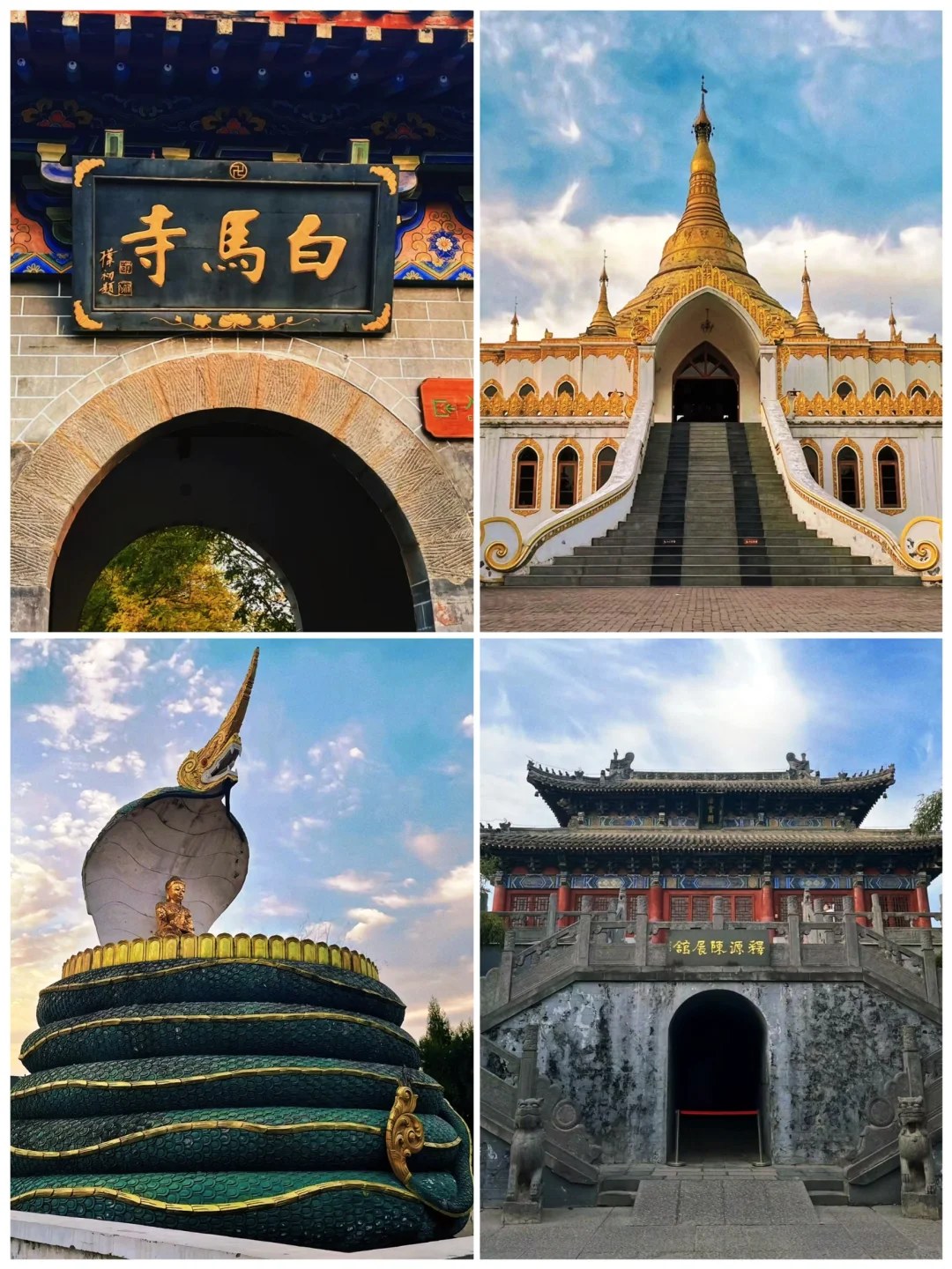 📍河南旅游|洛阳必打卡的八个景点‼️