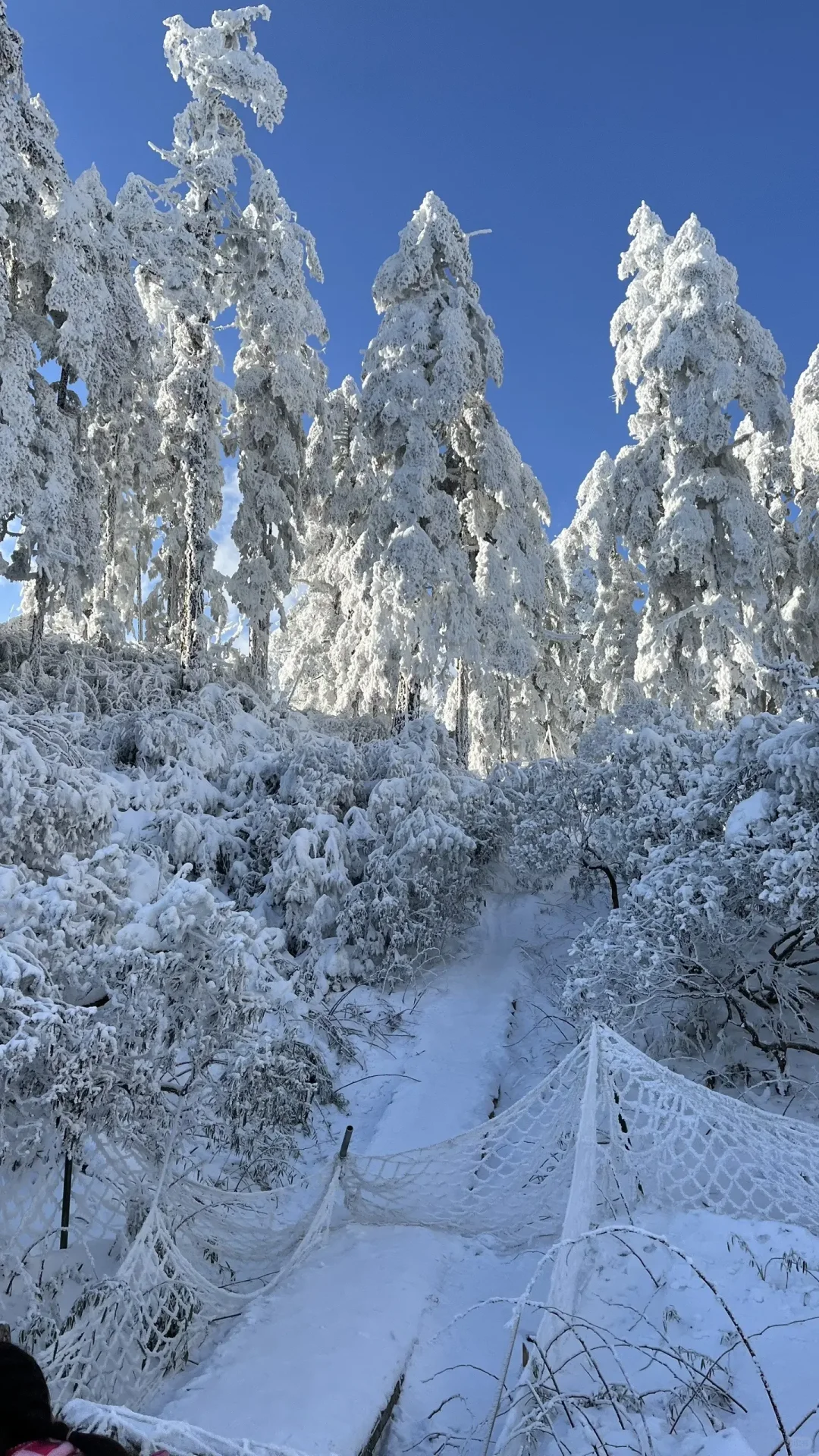 瓦屋山现状,宝子们可以冲起来了!