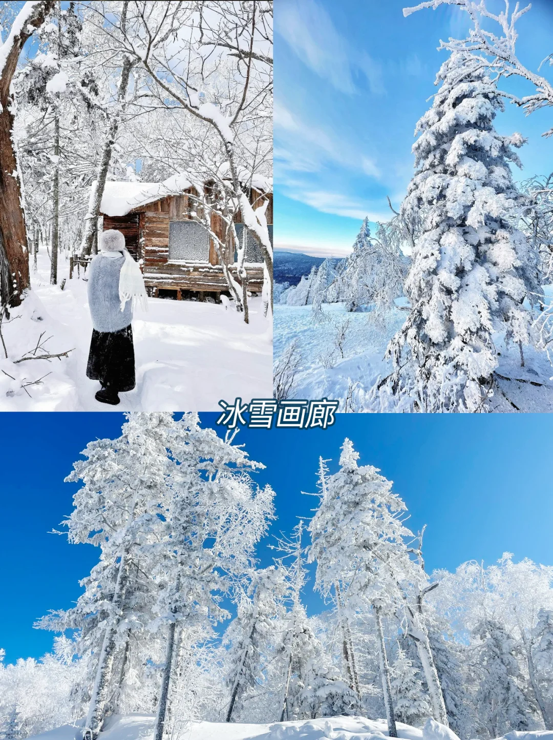 哈尔滨+长白山+延吉省❤️攻略✌️纯玩必看💯