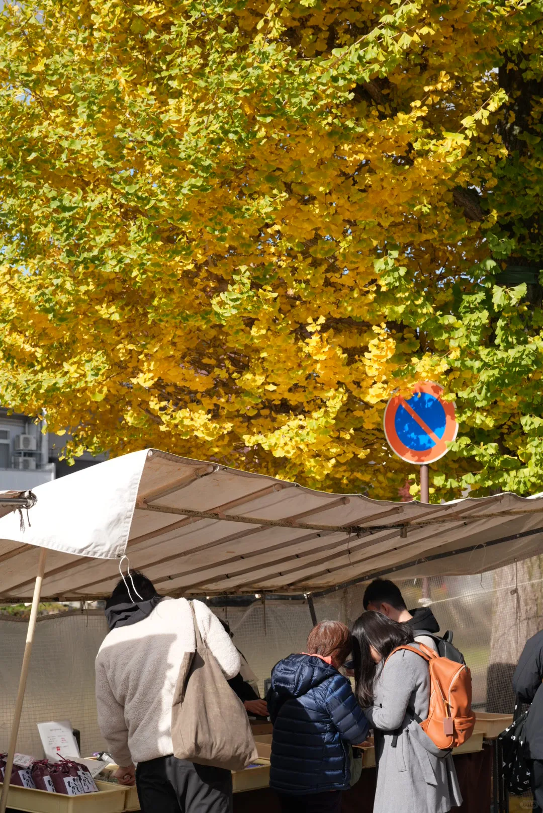 名古屋的秋意正撩人🍁✨
