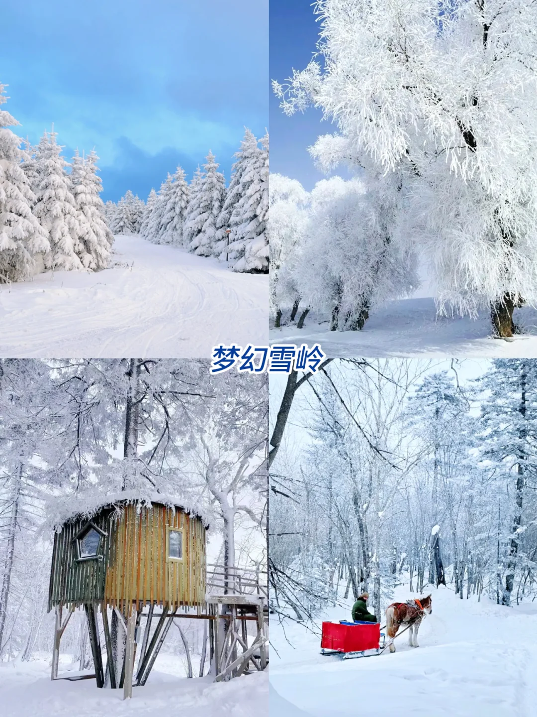 哈尔滨+长白山+延吉省❤️攻略✌️纯玩必看💯