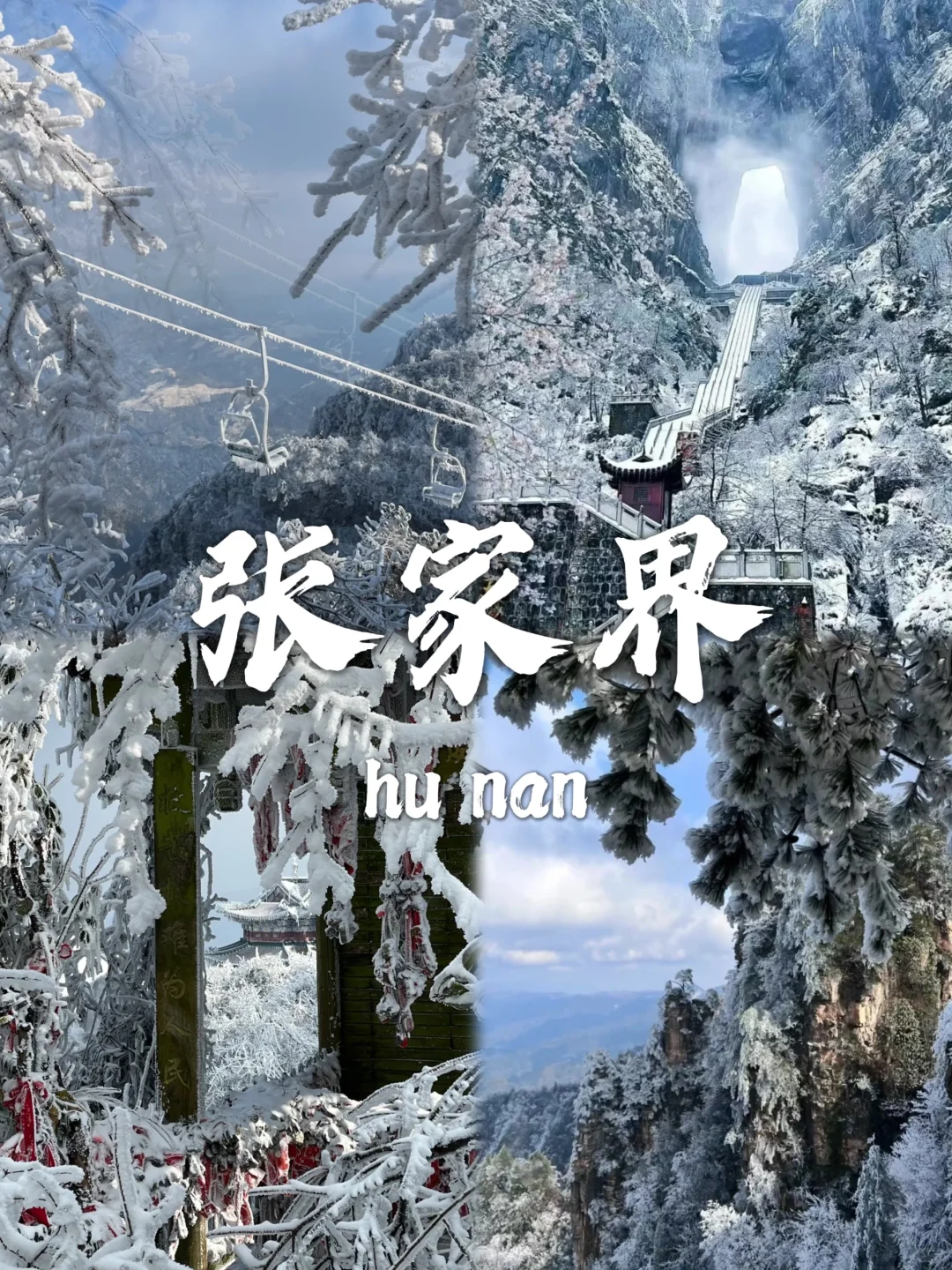 国内适合赏雪的9️⃣个城市，南方小土豆请