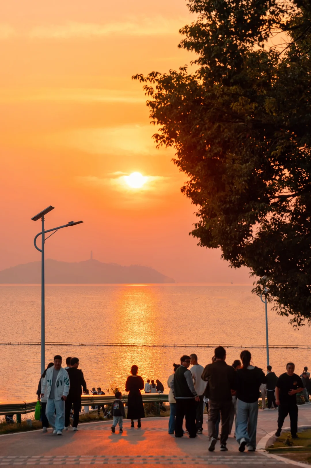 为了这18张照片,我专门去了趟合肥‼️