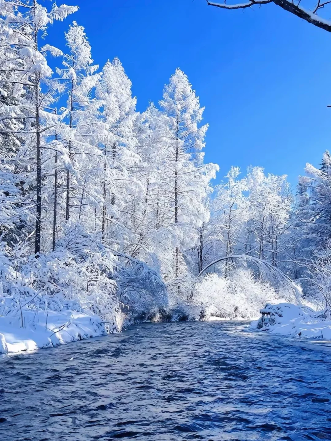 04女大📍长白山 延吉｜三天两夜超详细版攻略