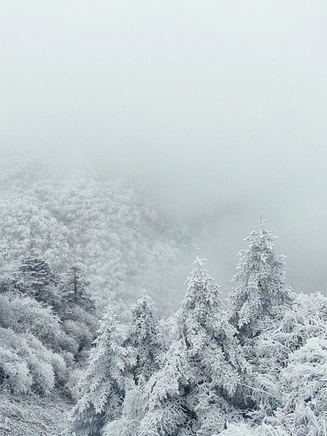 享受冬天计划|成都附近玩雪合集安利一弹!