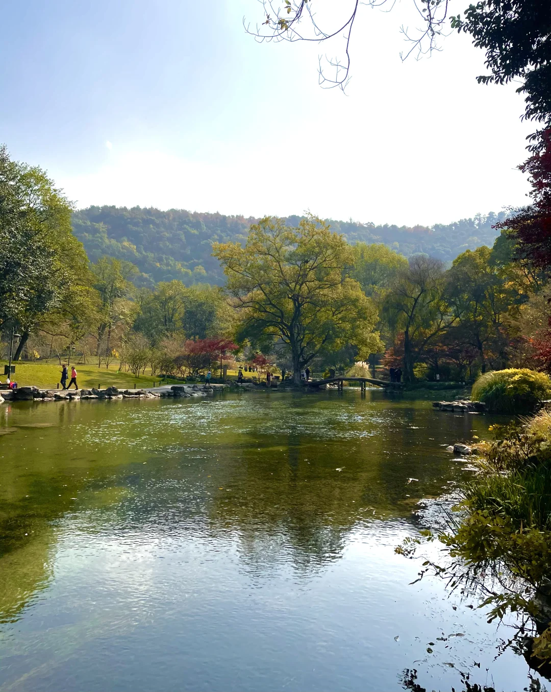 live 图｜美到封神！杭州赏秋一日游精华攻略！