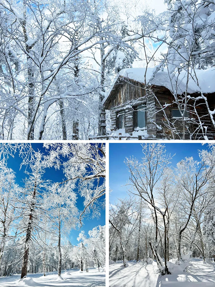 东北旅游攻略|哈尔滨+亚布力+雪乡⛄️