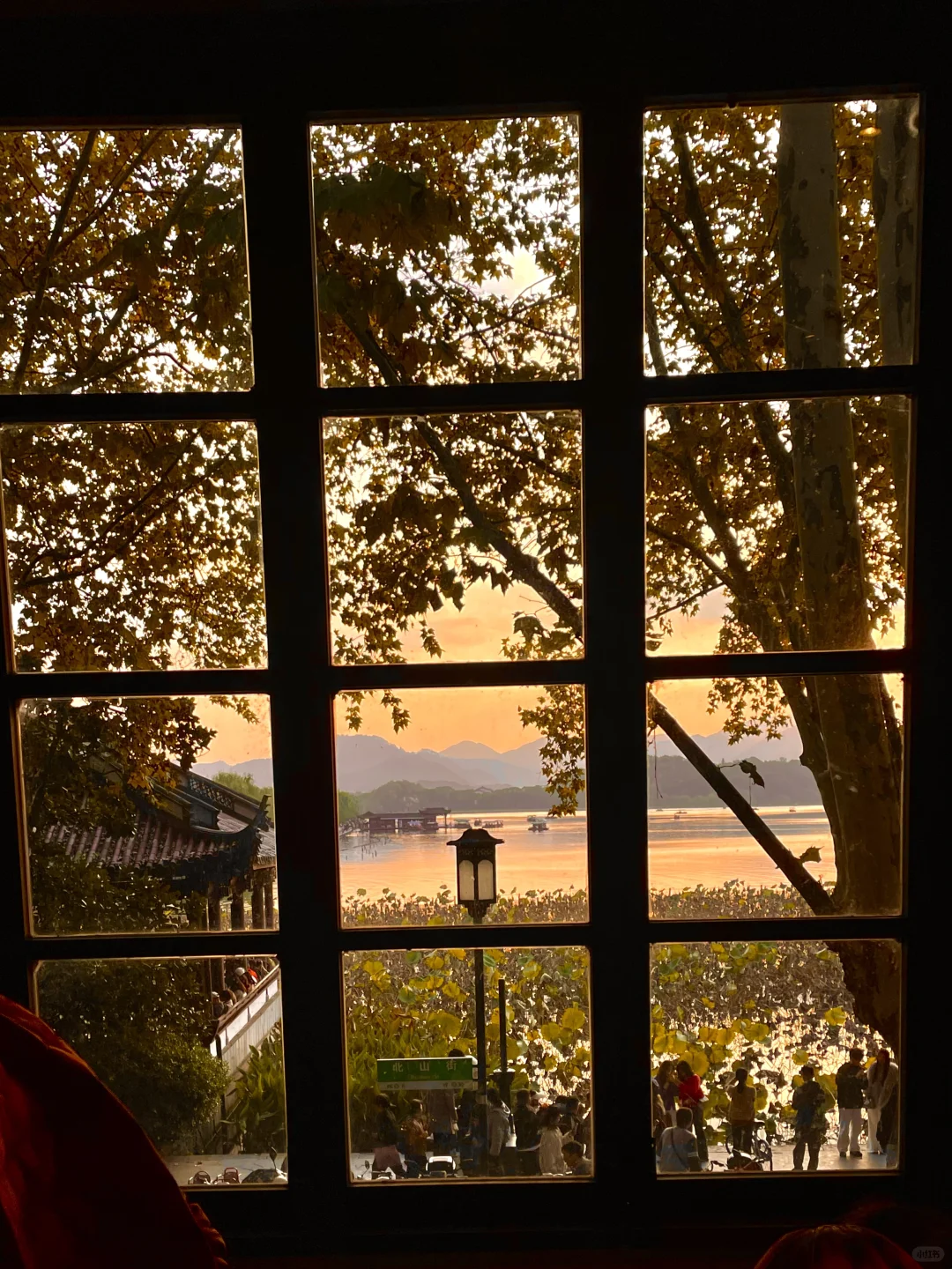 live 图｜美到封神！杭州赏秋一日游精华攻略！