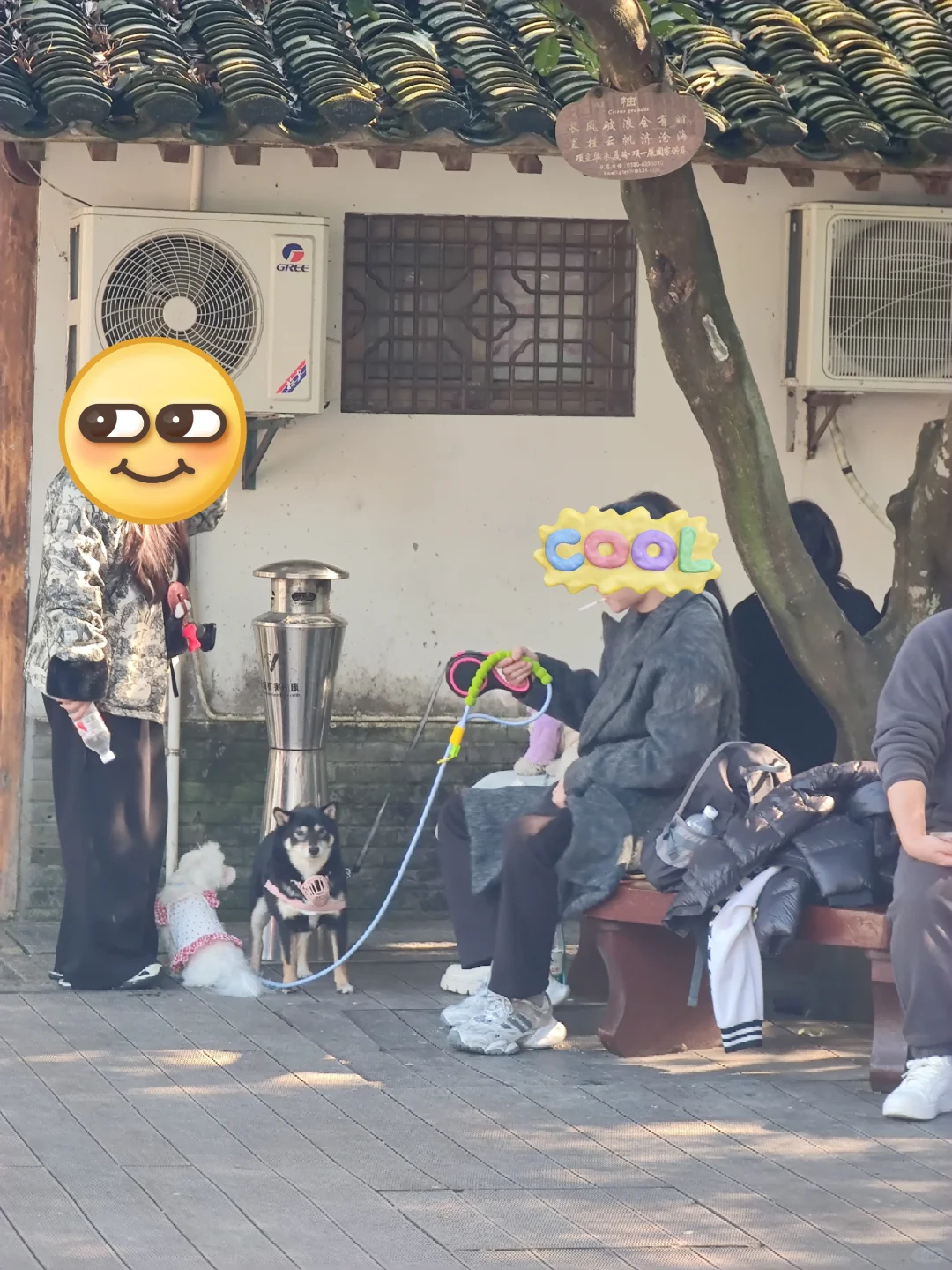 普陀山：不禁烟文明示范5A级景区