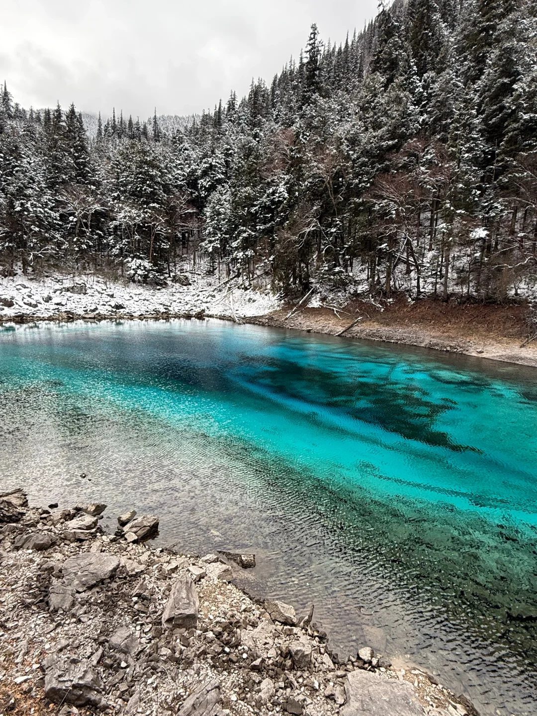 12.1📍九寨沟豪赌成功，真的劝退不了一点😅…