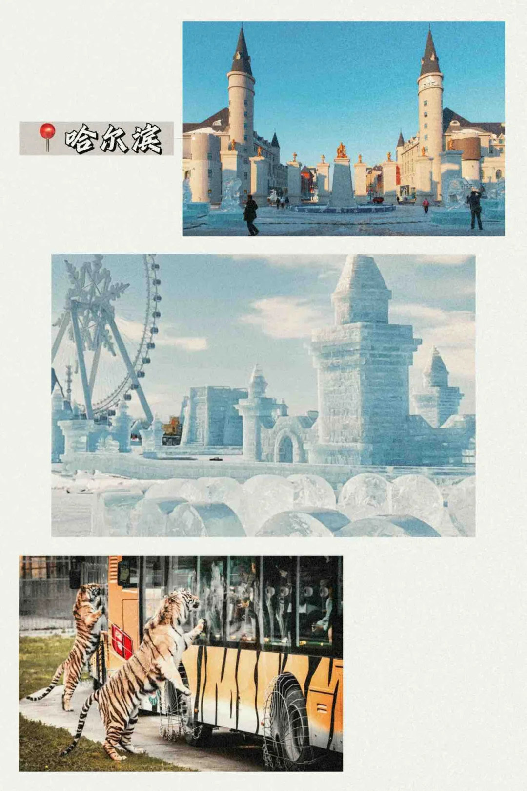 哈尔滨旅游攻略必打卡地｜哈尔滨世界欢乐城