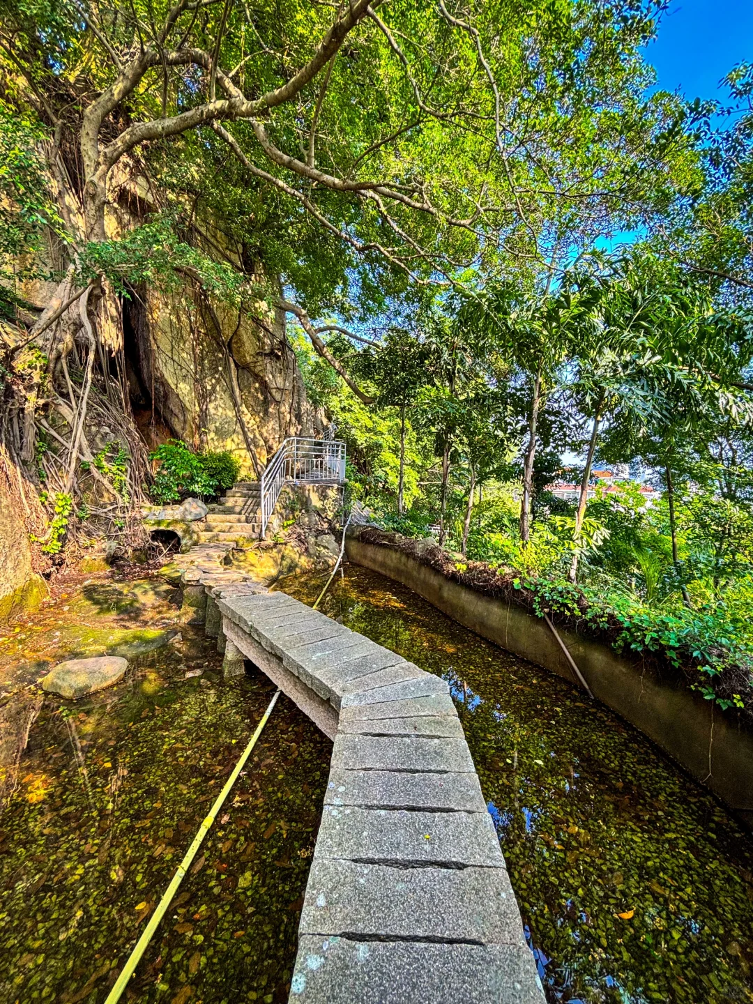 当你放弃网红景点！！！来厦门就会看到！！！！