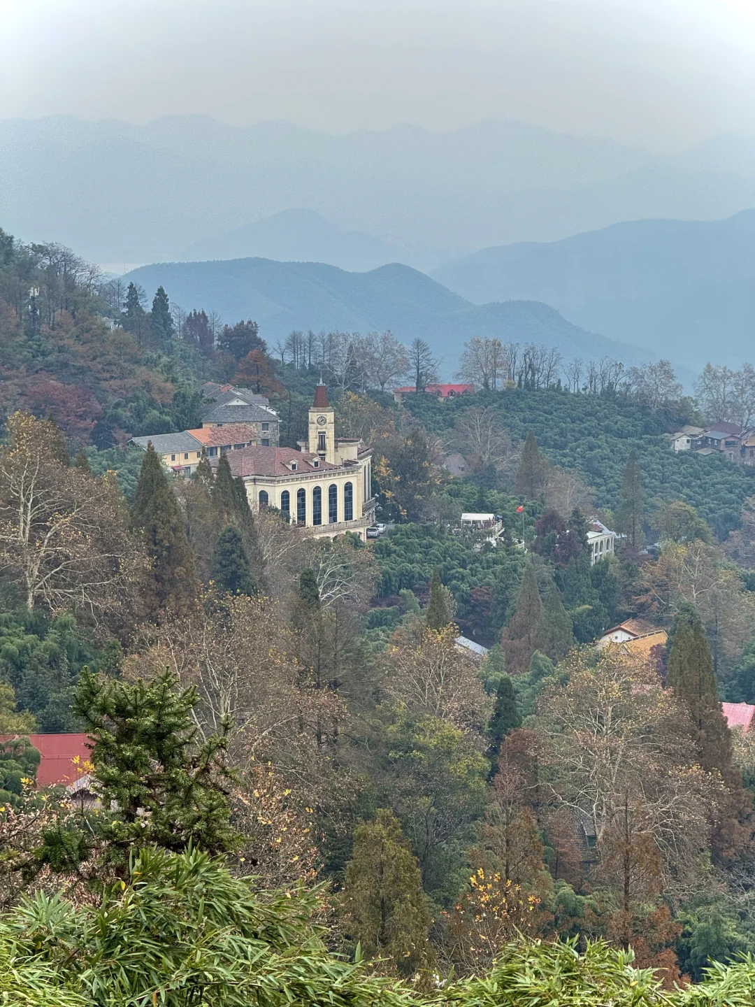11.24实况!莫干山的秋天美疯了!(详细攻略)