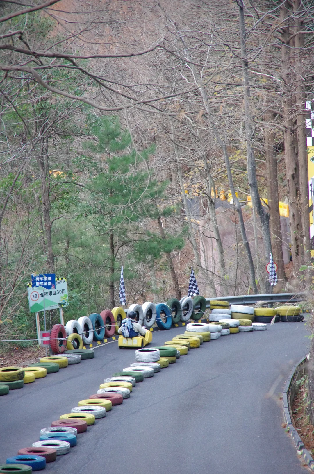 每周一山|松是迎客松 山是大明山