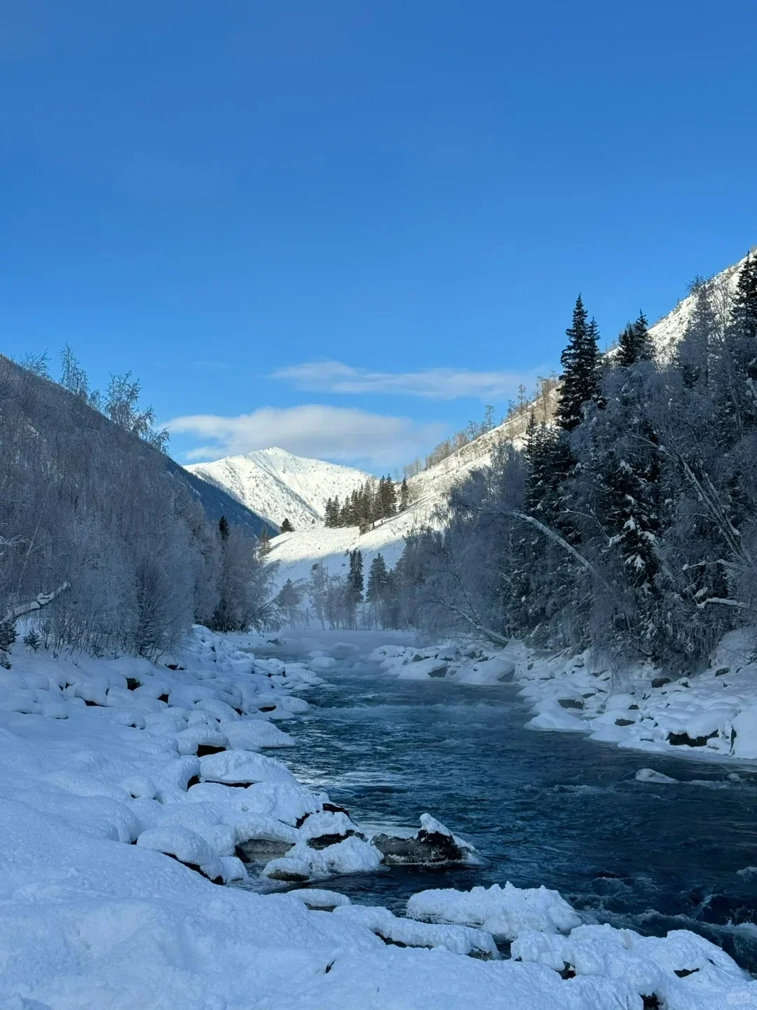 阿勒泰现状😅11 - 2 月要去的姐妹慎重…