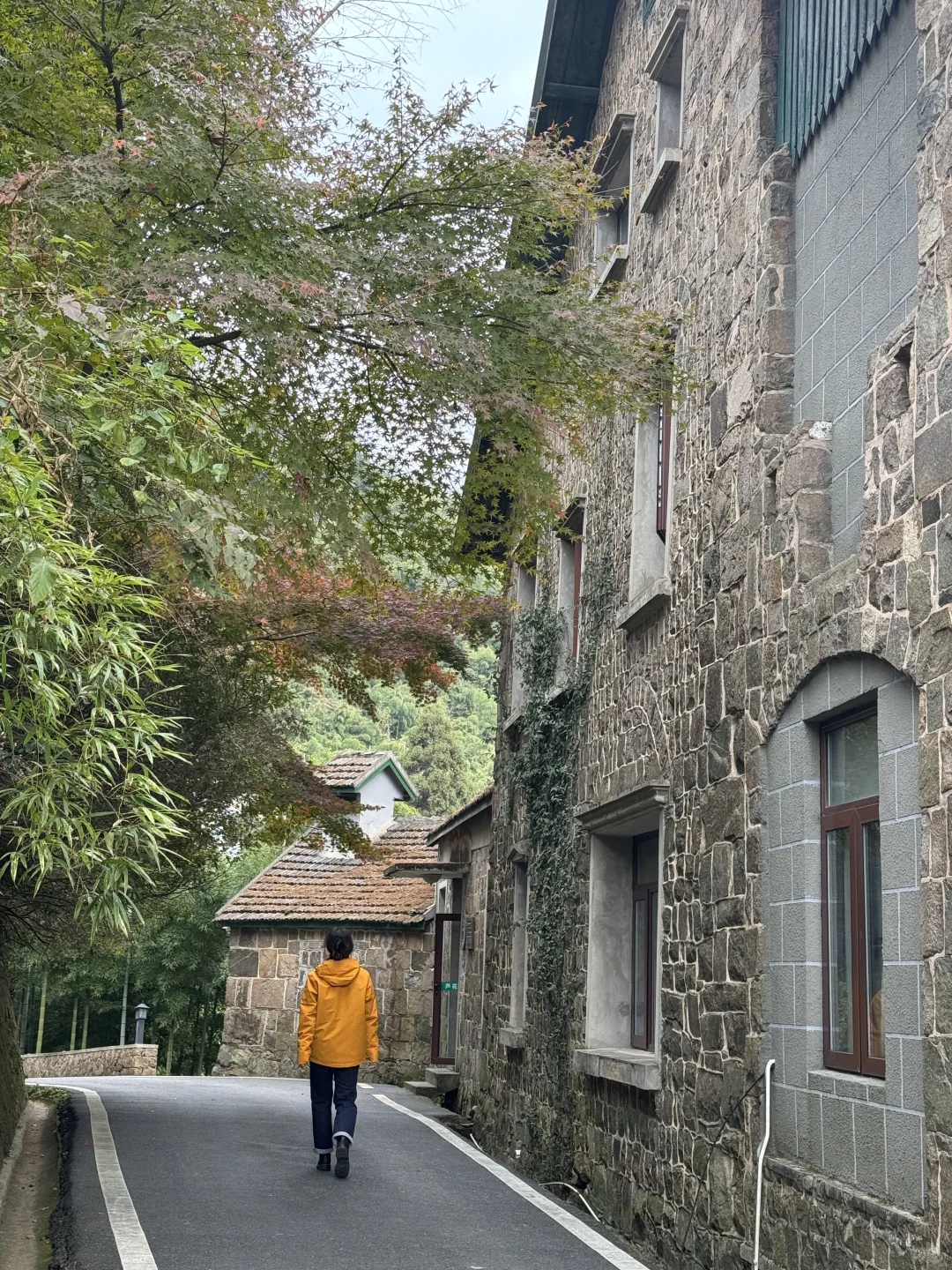 11.24实况!莫干山的秋天美疯了!(详细攻略)