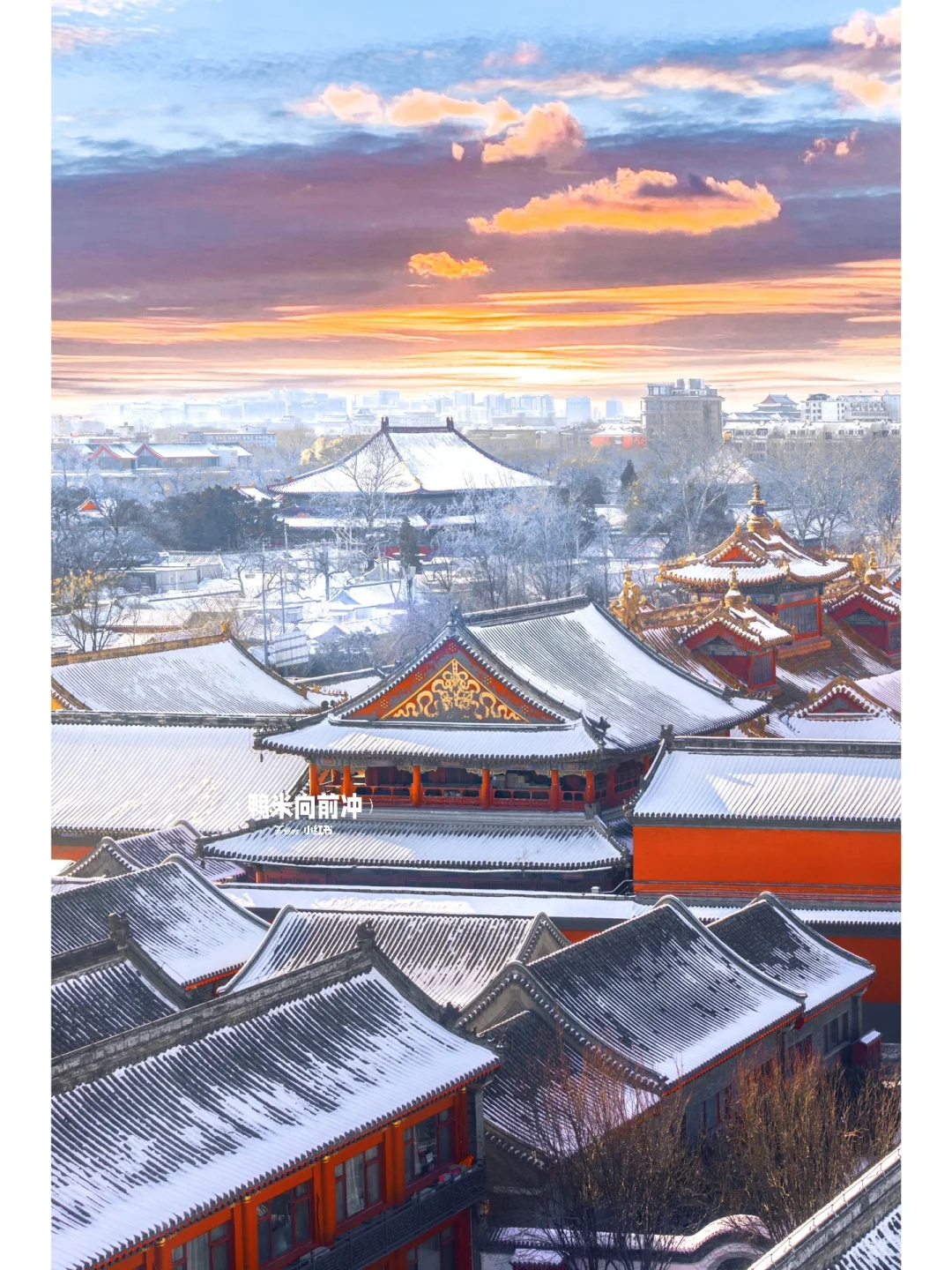 每条都是王炸‼️北京❄️冬日❻条胡同Citywalk