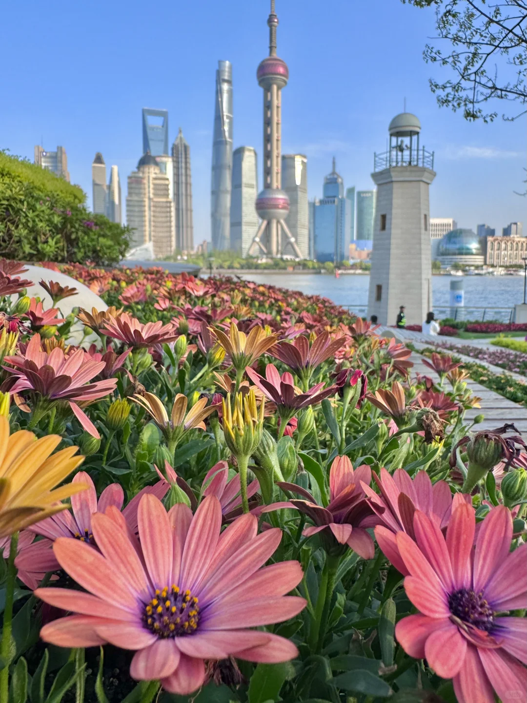 上海现状 ,12月去的姐妹尽早改行程