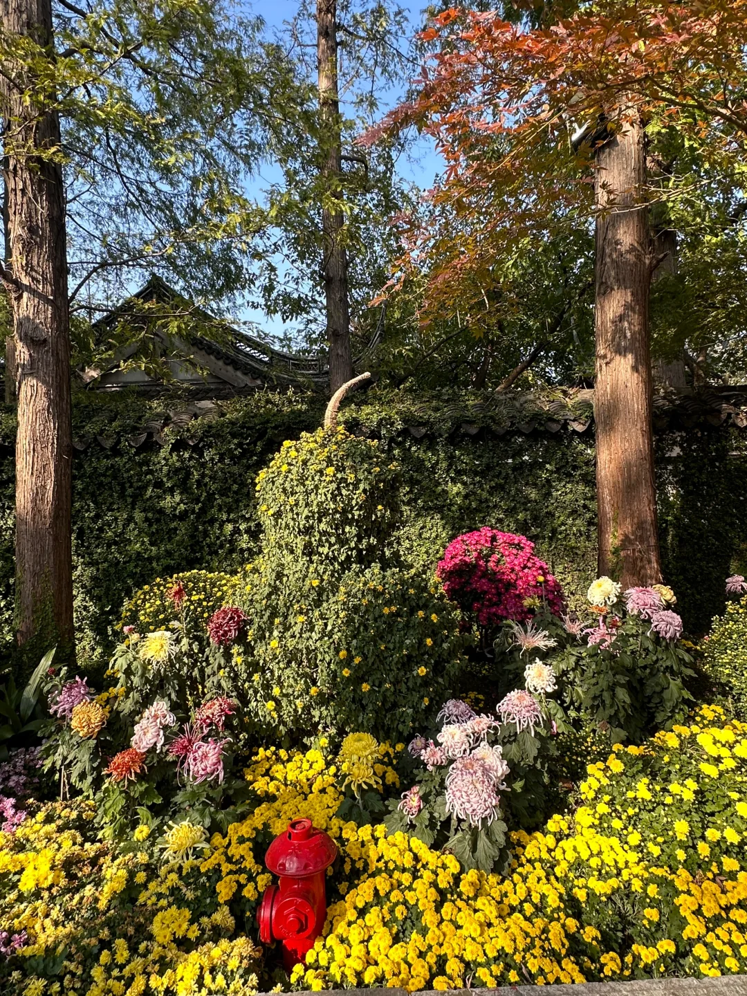 无锡一日游 ｜惠山古镇➕鼋头渚 （自驾🚗）