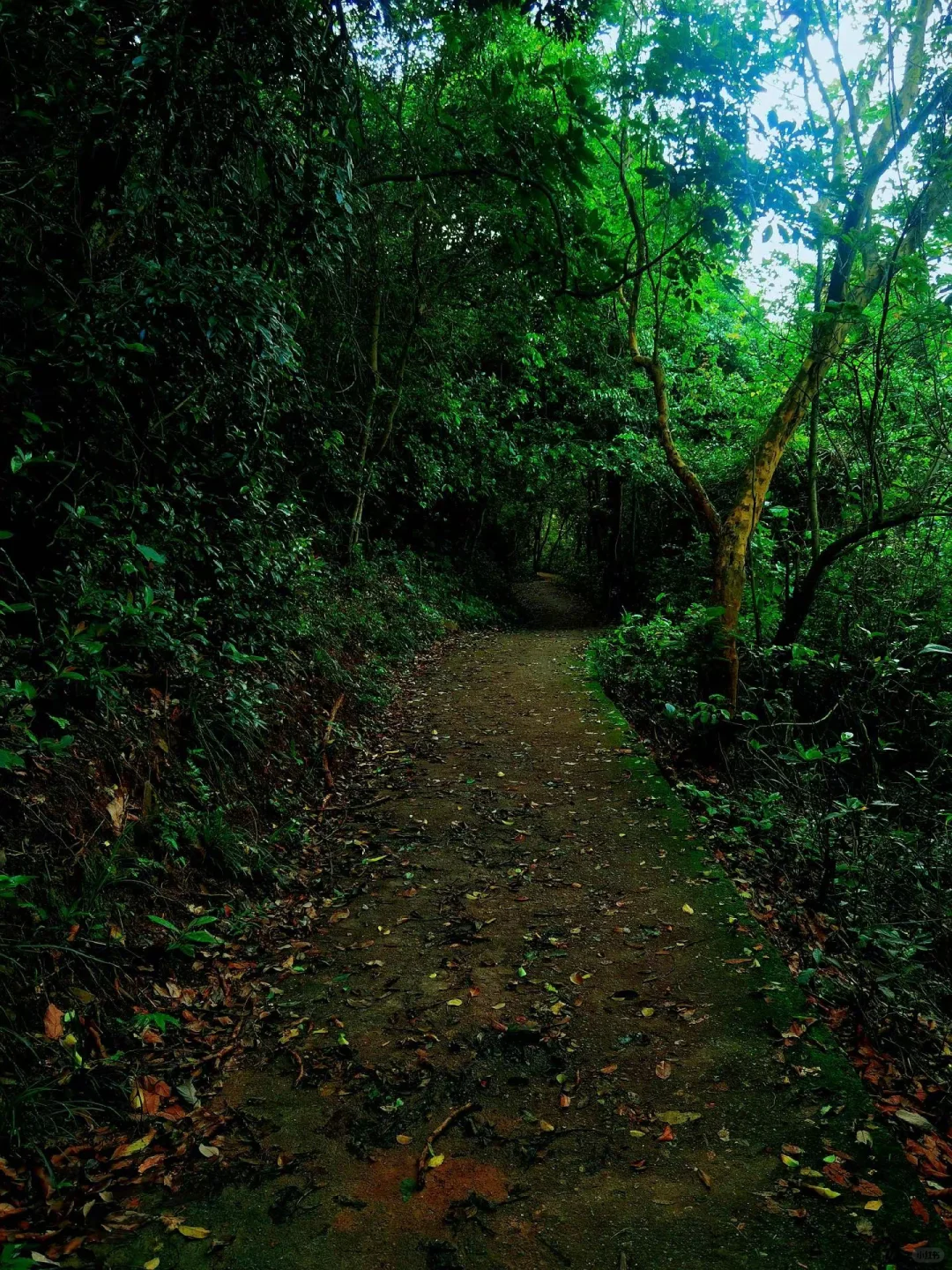 16公里轻松徒步：淘金山-翠湖公园-求水山～