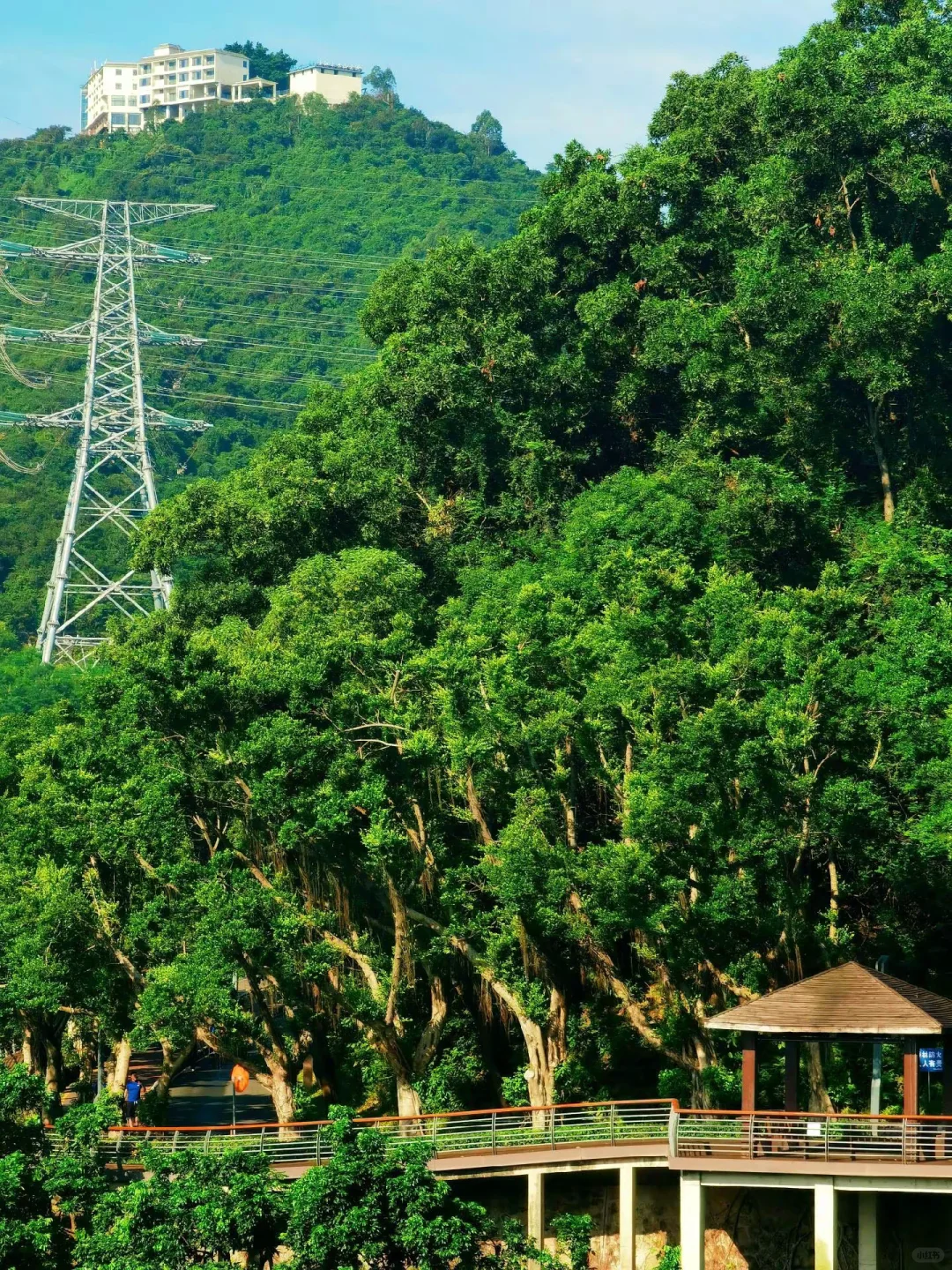 16公里轻松徒步：淘金山-翠湖公园-求水山～