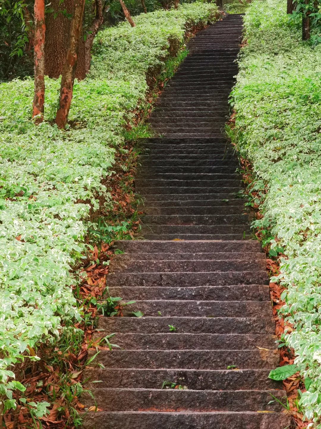 16公里轻松徒步：淘金山-翠湖公园-求水山～