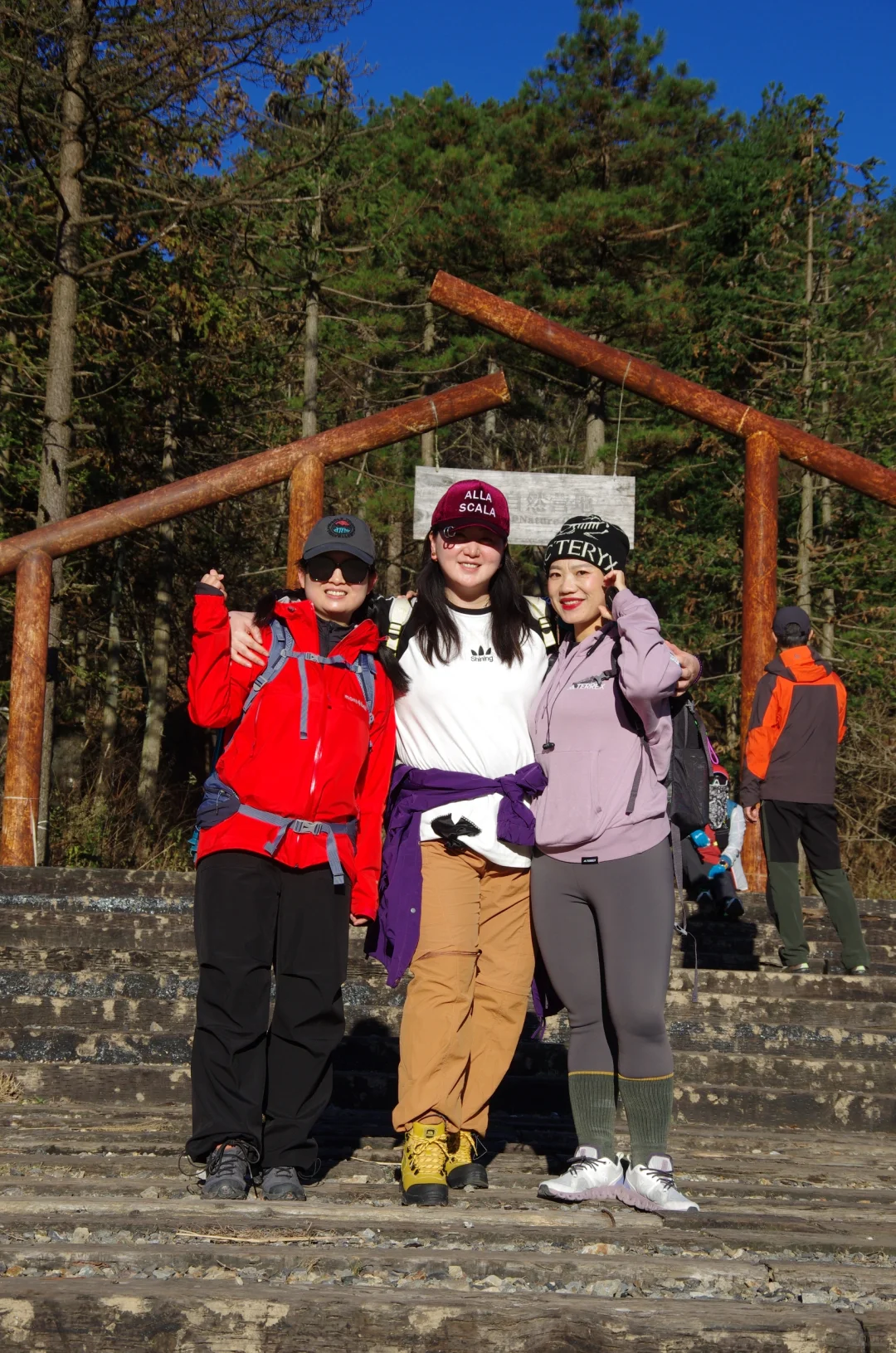 每周一山|松是迎客松 山是大明山