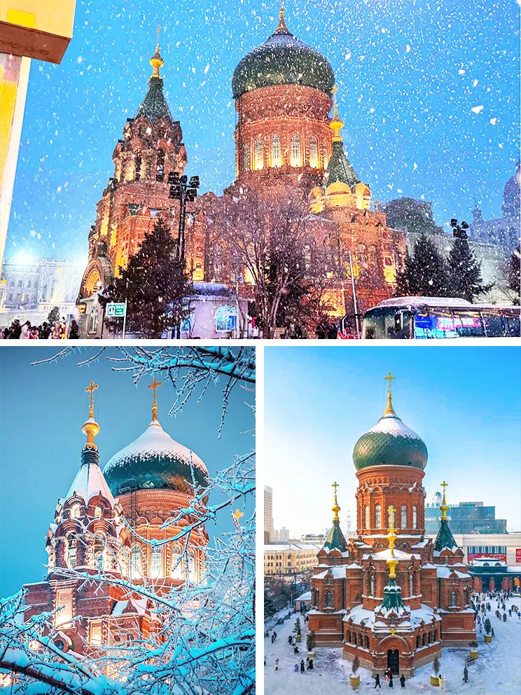 东北旅游攻略|哈尔滨+亚布力+雪乡⛄️