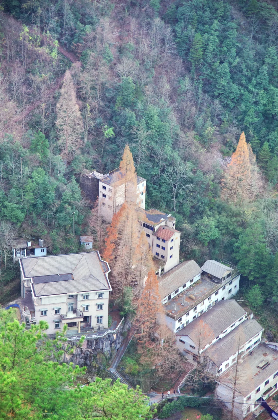 每周一山|松是迎客松 山是大明山