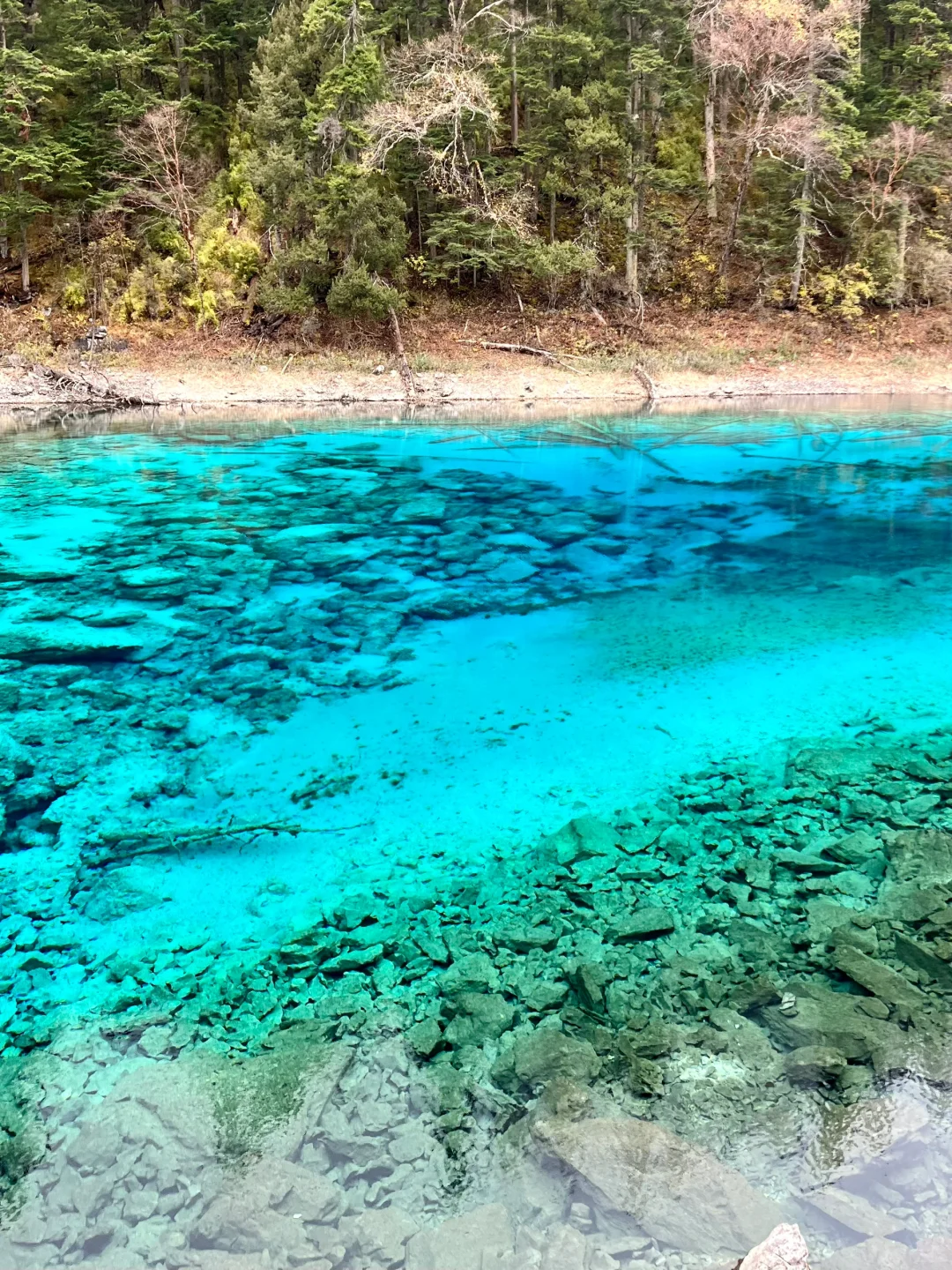 一日玩遍九寨沟，这样走就行啦