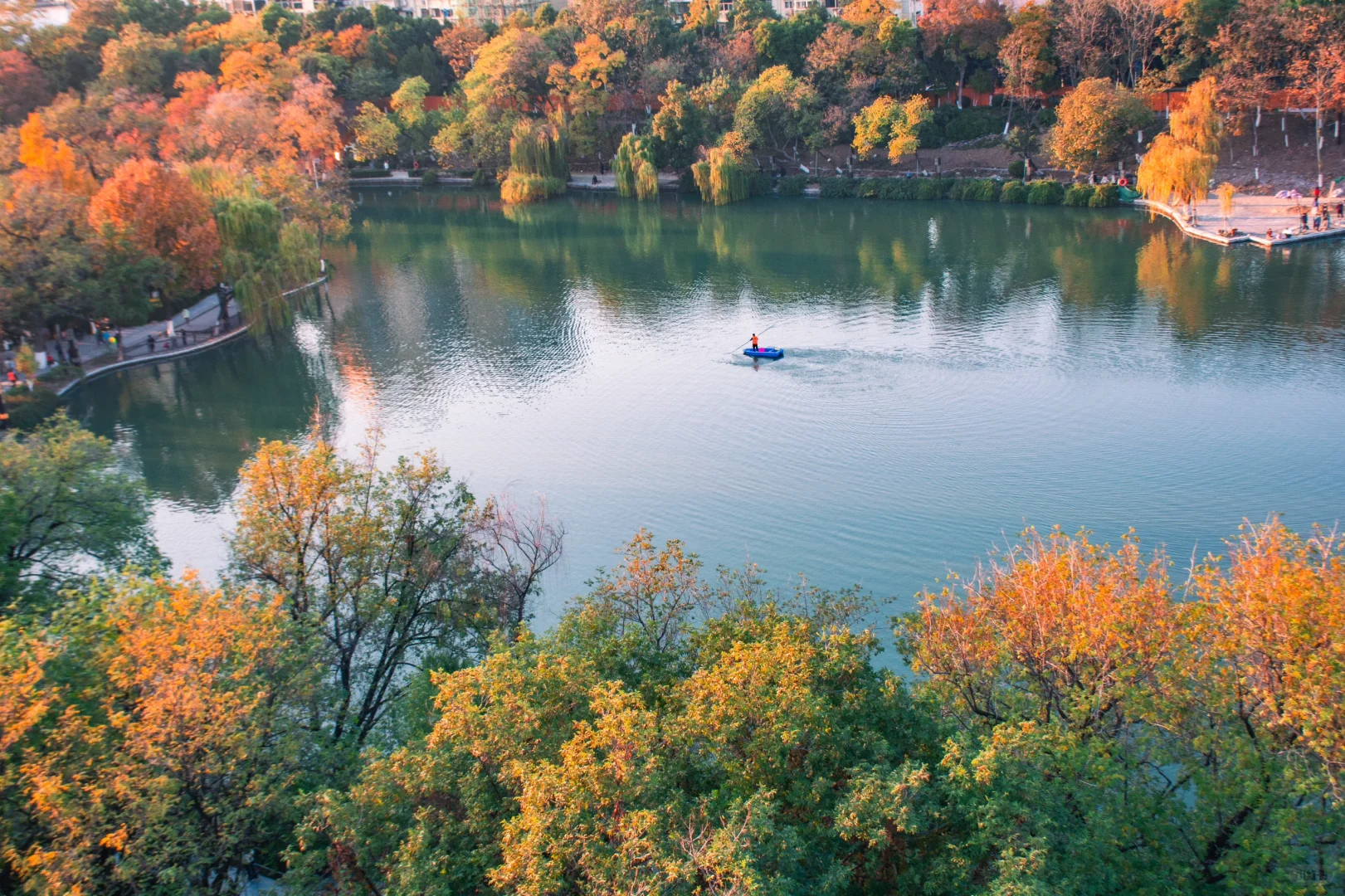 包公园｜合肥赏秋少不了的公园🍂
