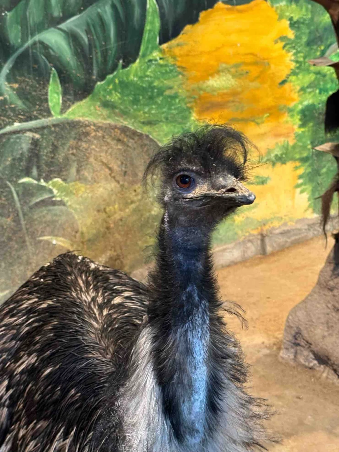 哈尔滨旅游攻略必打卡地｜哈尔滨世界欢乐城