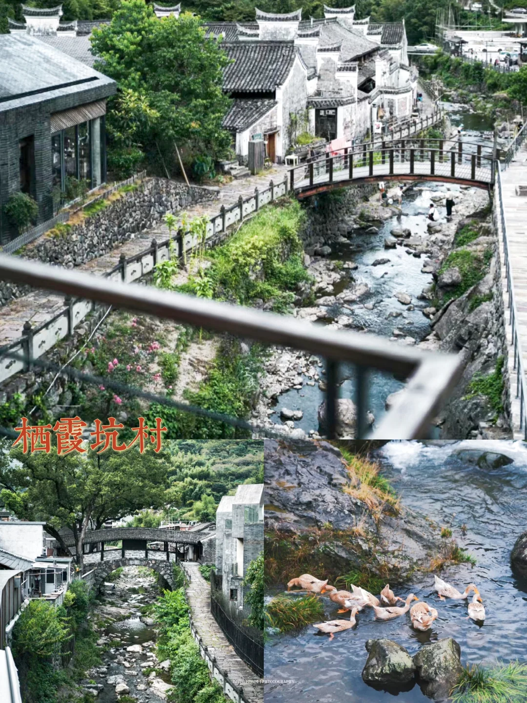 宝藏🌈四明山自驾攻略📘