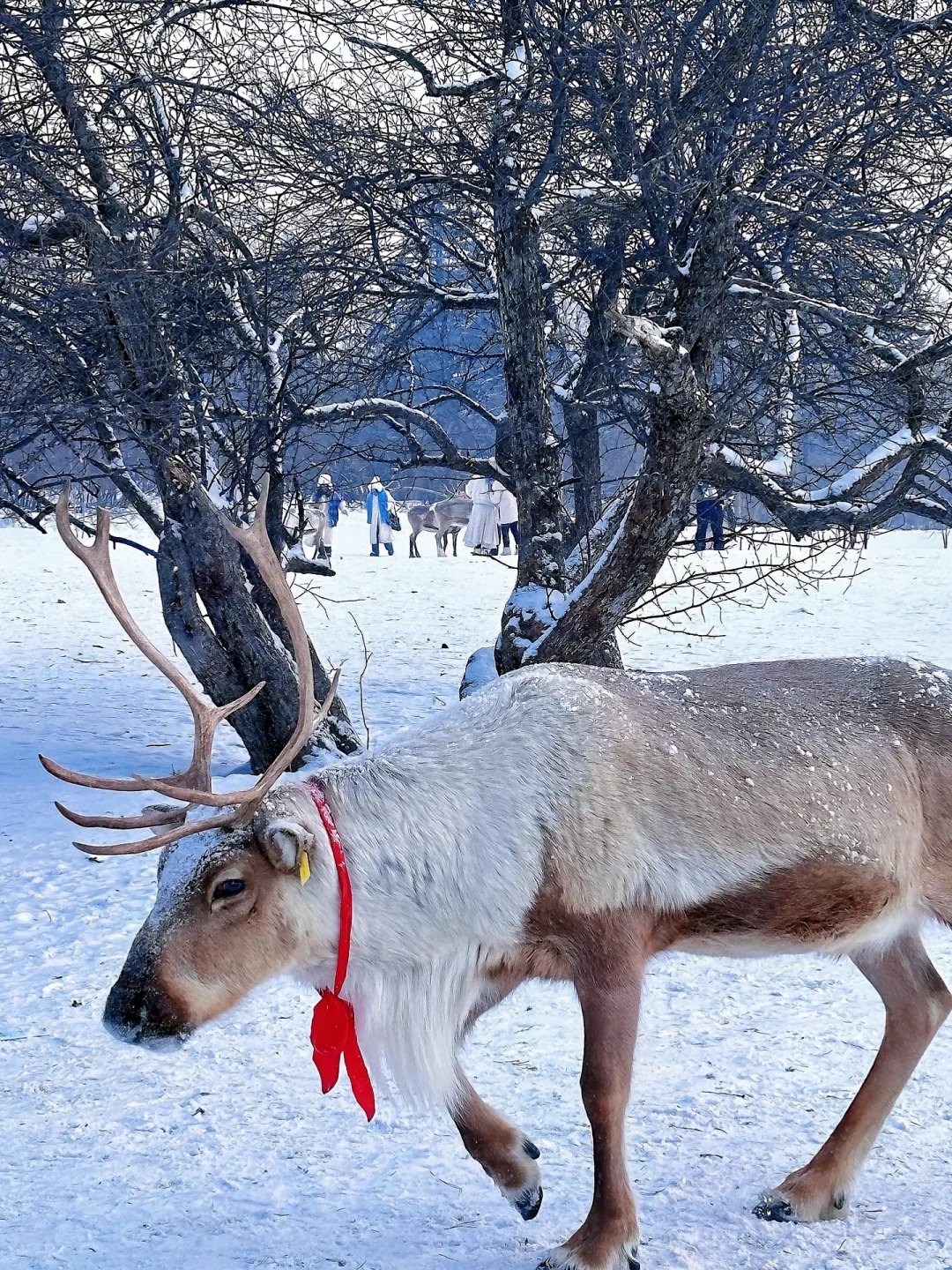 长白山＋延吉旅游攻略来了，路线超清晰