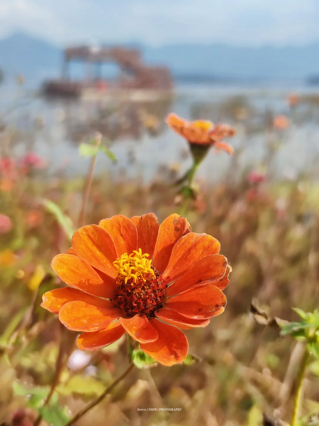 宝藏🌈四明山自驾攻略📘