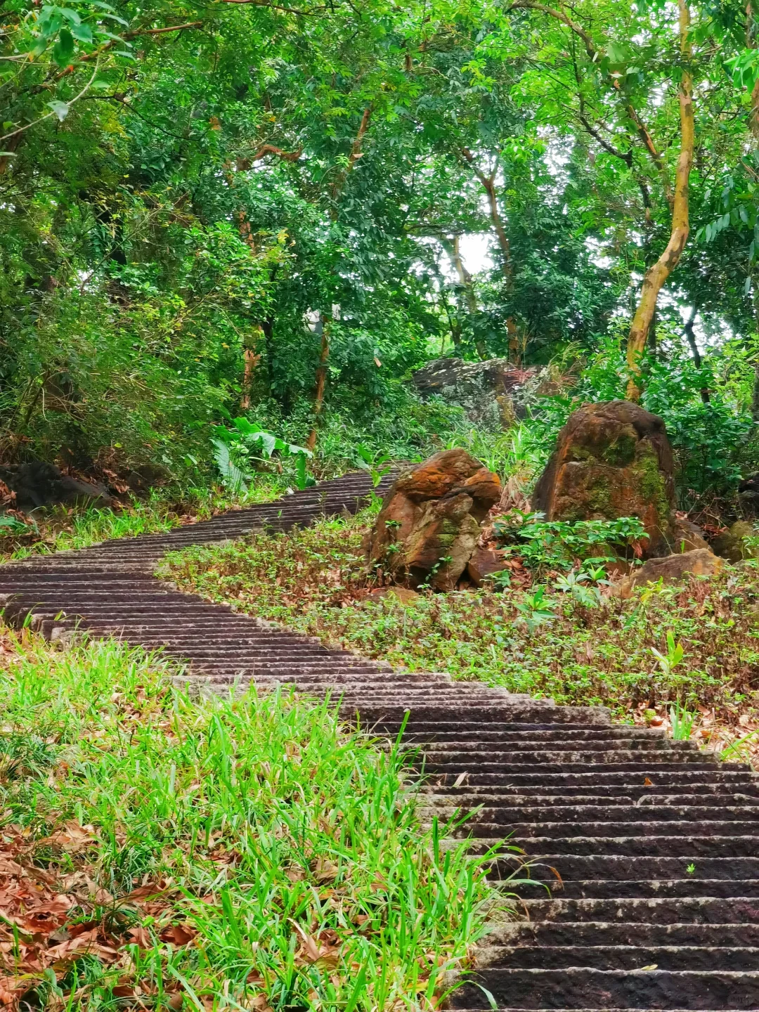 16公里轻松徒步：淘金山-翠湖公园-求水山～